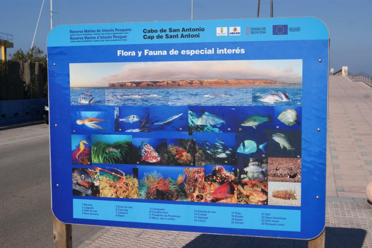 Marinas En I Appartement Dénia
